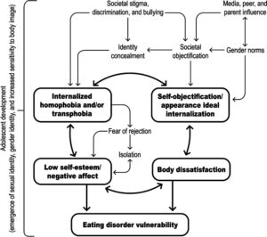 Orientación sexual y vulenarbilidad en los TCA