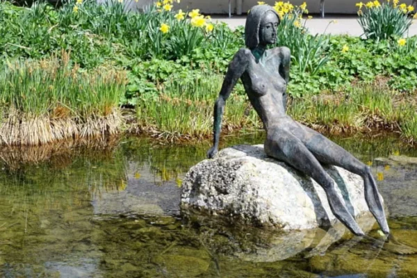 Aspectos clínicos generales anorexia nerviosa