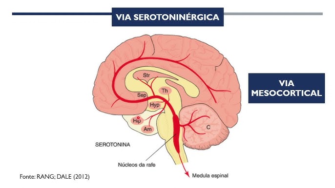 Serotonina